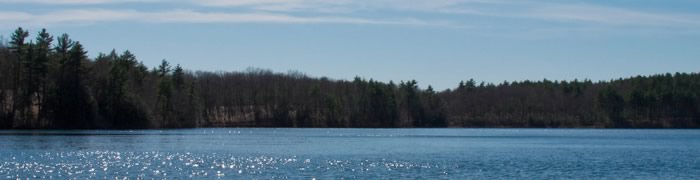walden-pond.jpg - 22,18 kB
